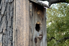 Deep-Creek-Cemetery_TX_2020-12