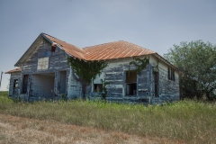 Denhawken_TX_2020-16