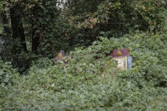 Dialville_TX_2019-5