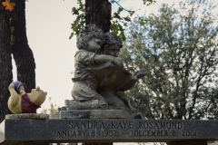 Dido-Cemetery_TX_2018-5