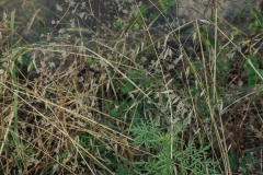 Doole_TX_2019-9