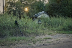 Dotson_TX_2019-3