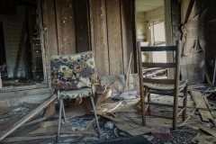 Dotson_TX_2019-5