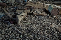 Dozier_TX_2019SM-13