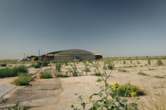 Amarillo-English-Field_TX_2019-15