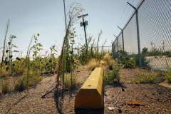 Amarillo-English-Field_TX_2019-16