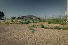 Amarillo-English-Field_TX_2019-3