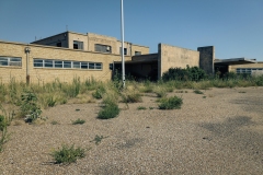 Amarillo-English-Field_TX_2019-5