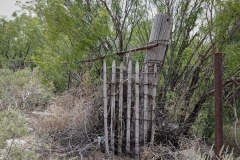 Girvin_TX_2019-13