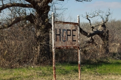 Hope_Cemetery-1