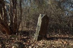 Hope_Cemetery-4